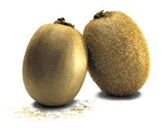 hair balls hair removal kiwi